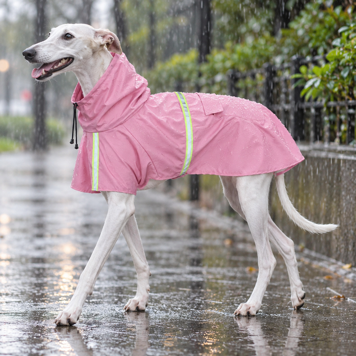 Reflective Cape Raincoat with PU Coating for Big Dogs