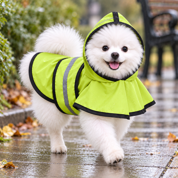 Poncho Raincoat with Precise Sizing for Dogs
