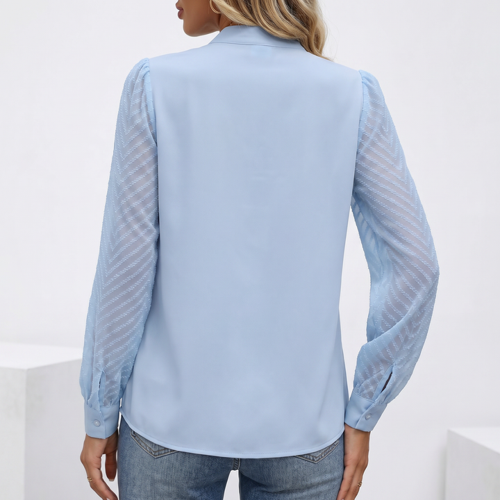 Women's V-Neck Long Sleeve Chiffon Blouse